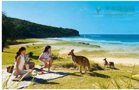 澳洲保健品 實探澳洲制藥工廠，澳樂維他“純種”身份曝光